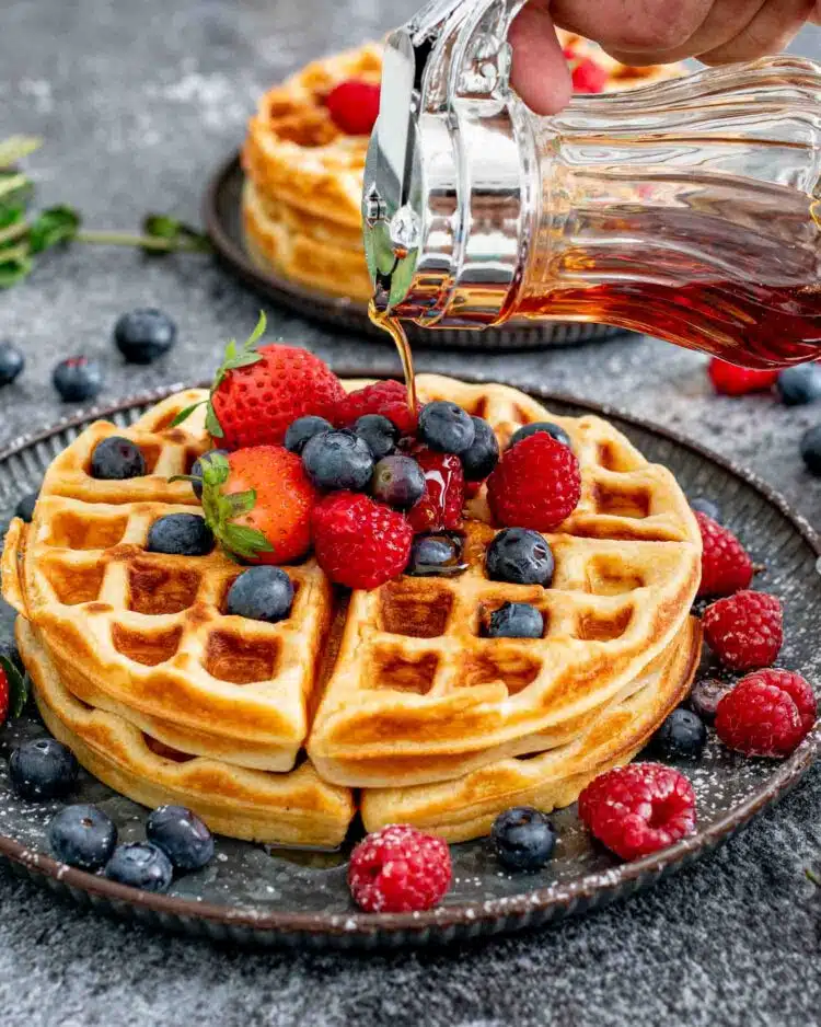 golden waffle instructions pdf